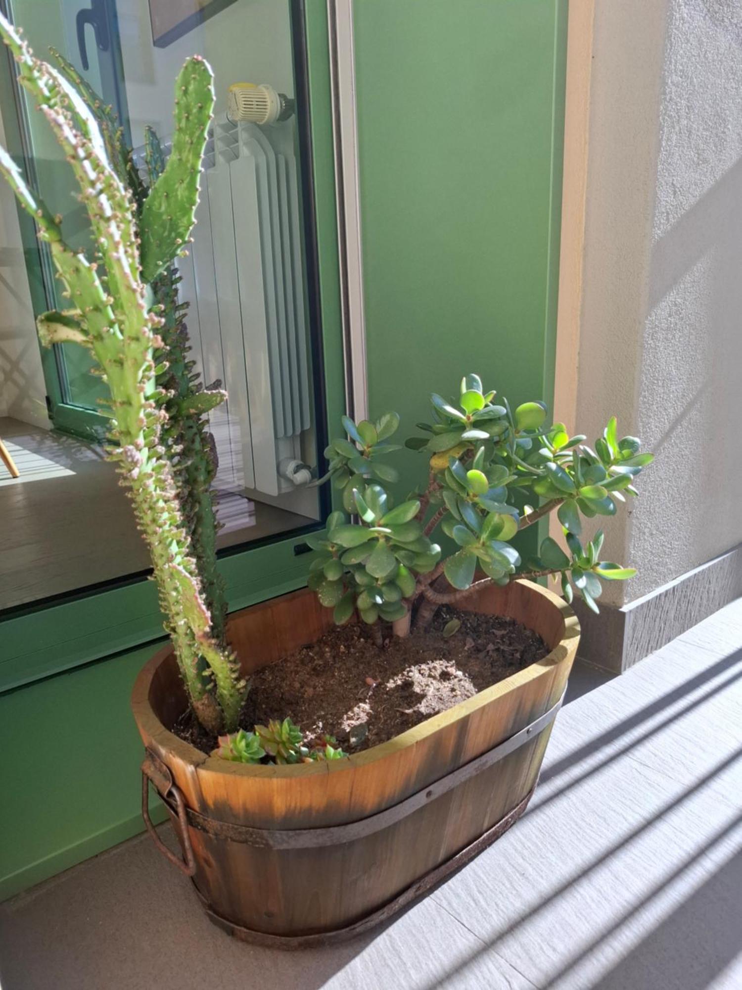 Alojamento Calypso Póvoa de Varzim Exteriör bild