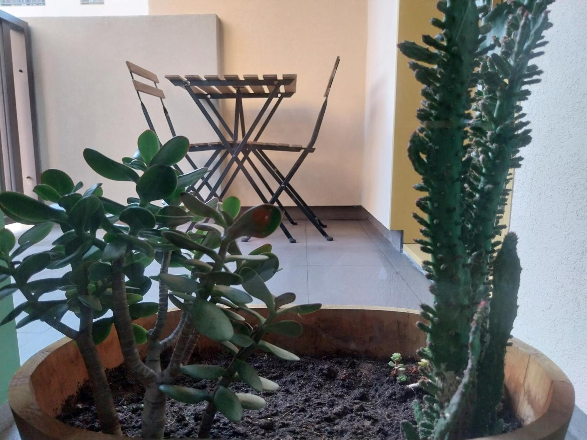 Alojamento Calypso Póvoa de Varzim Exteriör bild